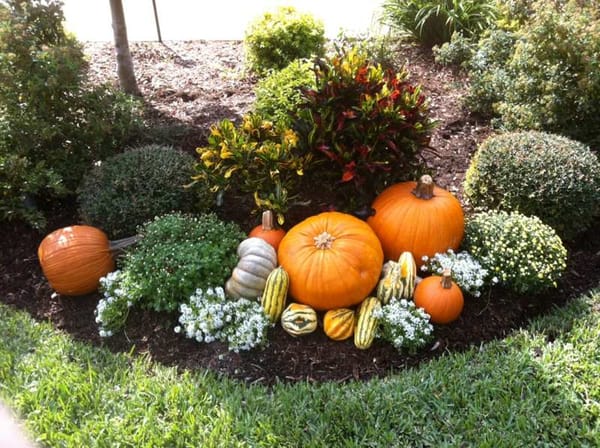 Herbst im Garten :)