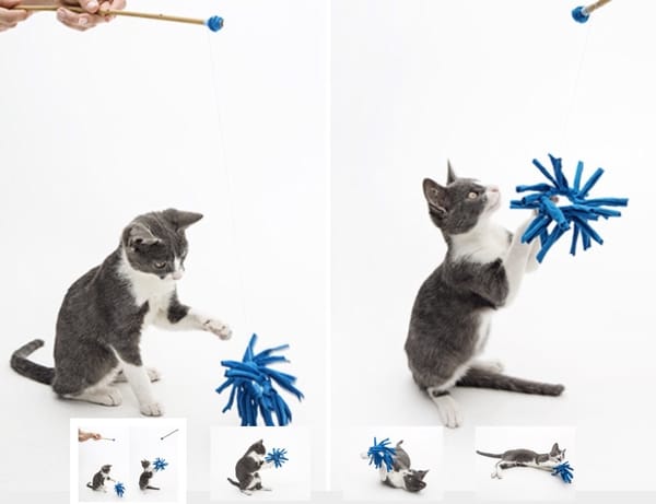 Katzenspielzeug aus Flaschenverschluss und Textilgarn basteln ;)