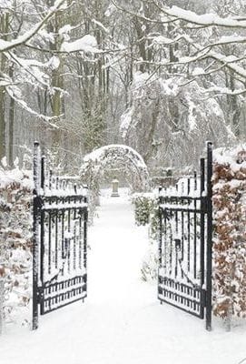 Märchenhafter Wintergarten :)