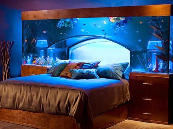 Wunderbare Aquarium Designs :)