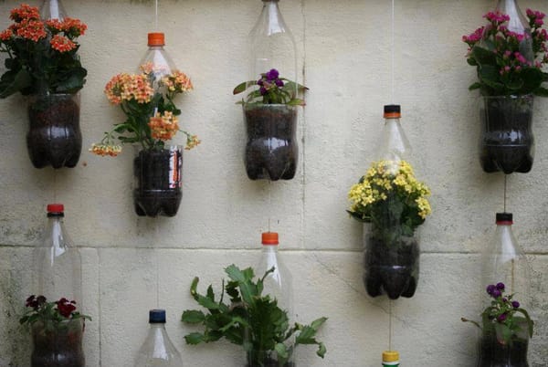 Plastikflaschen Garten :)
