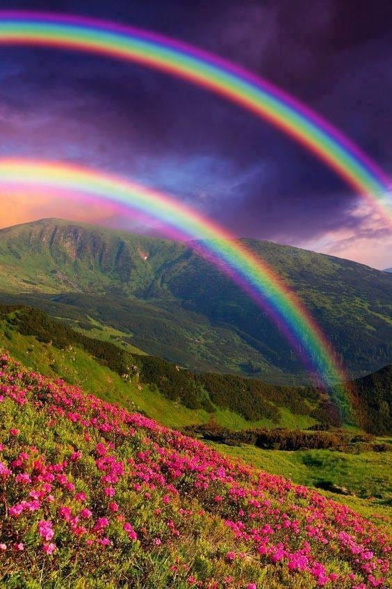 Wunderbare Regenbogen Bilder