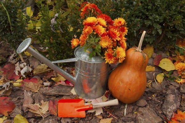 Gießkanne als wunderschöne Gartendeko ♥