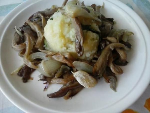 Einfaches Rezept für gebratene Austernpilze mit Kartoffelpüree und Sellerie
