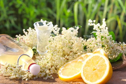 Holunderblütensirup -Rezept