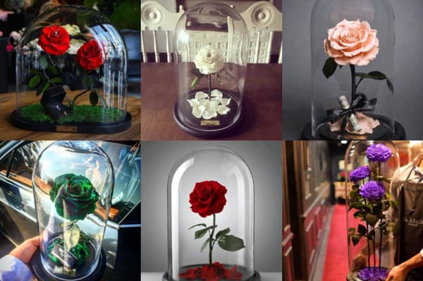 Rosen im Glas als eine bezaubernde Dekoration
