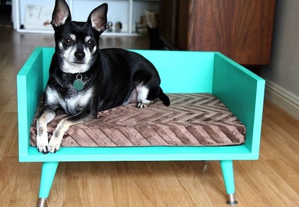 Inspiration für DIY Hundebetten :)