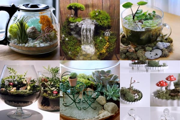 Dekoidee: Kreative Mini Gärten und Terrarien :)