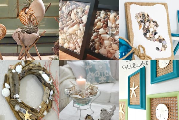 15 kreative DIY Projekte mit Muscheln