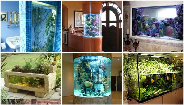 Die schönsten Aquarien für Zuhause :)