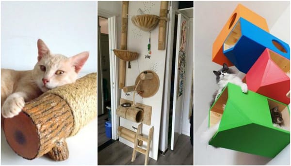 20 fantastische DIY Ideen für einen Katzenspielplatz :)