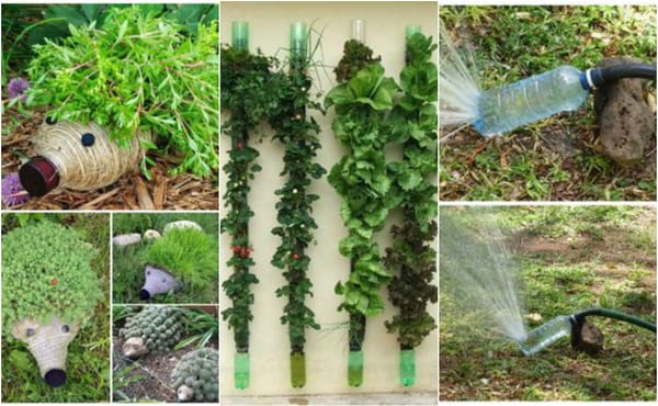 10 kreative Plastikflaschen Garten Ideen :)
