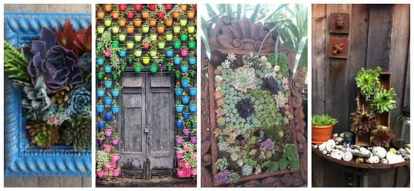 10 kreative Mini Sukkulenten Garten Ideen :)