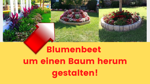 Ein Blumenbeet um einen Baum herum gestalten :)