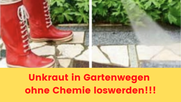 Unkraut in Gartenwegen ohne Chemie loswerden! :)