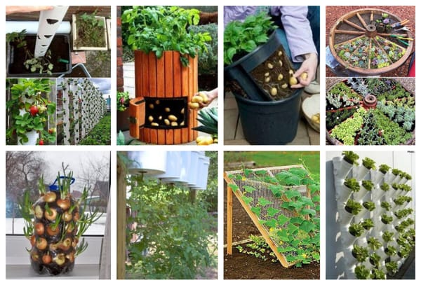 10 praktische Gartenideen: Gemüse pflanzen mal anders :)