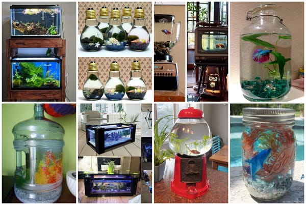 Aquarium selber machen – 10+ kreative Ideen