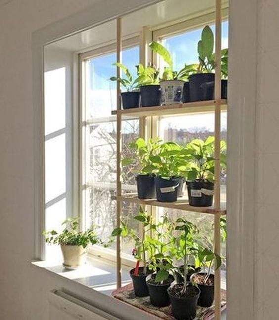 Mini-Garten am Fenster