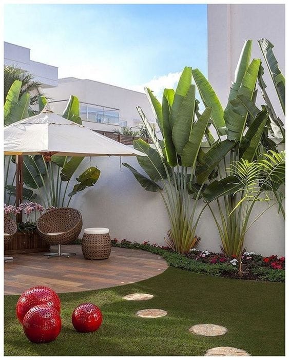 Garten gestalten: stilvolle mini-Palmen Inspirationen