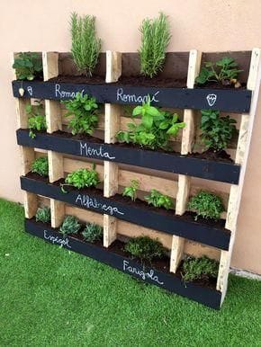 Mini-Kräutergarten: geniale Ideen