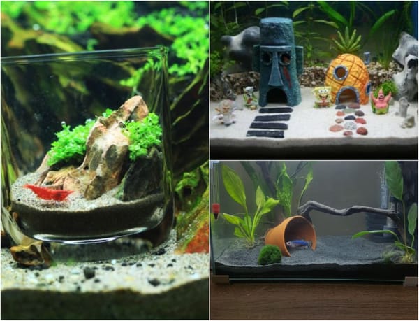 Diy Deko für Aquarium – kreative Ideen