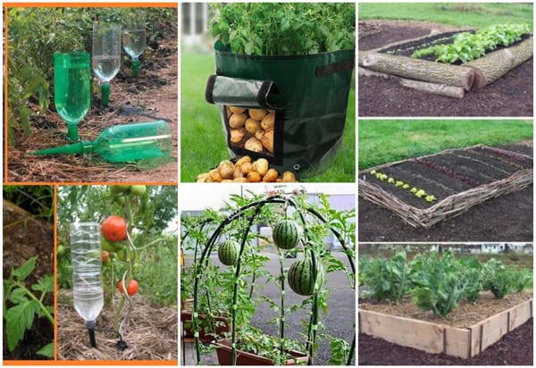 Gartenarbeit – clevere und praktische Tipps!