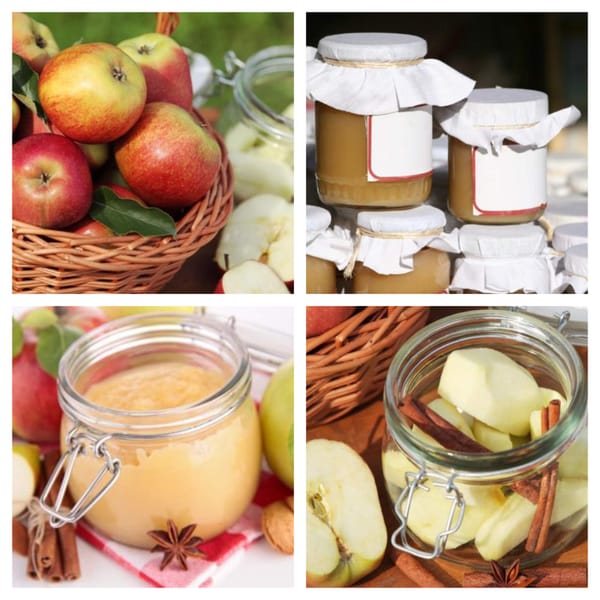 Äpfel einkochen: so macht ihr aus den Äpfeln haltbare Produkte