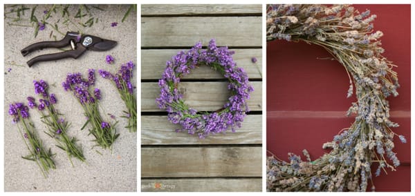 So kannst du einen duftenden Lavendel-Kranz selber machen :)