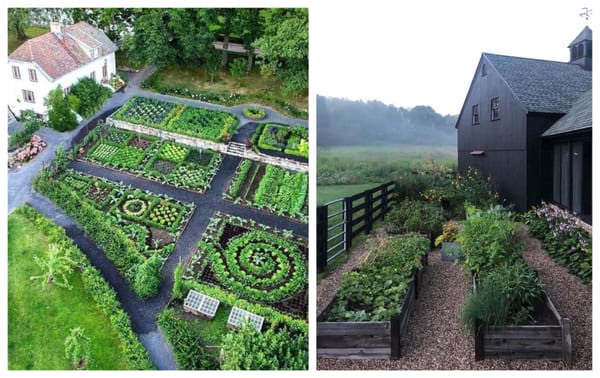 So kannst du einen außergewöhnlichen Gemüse-Garten anlegen :)