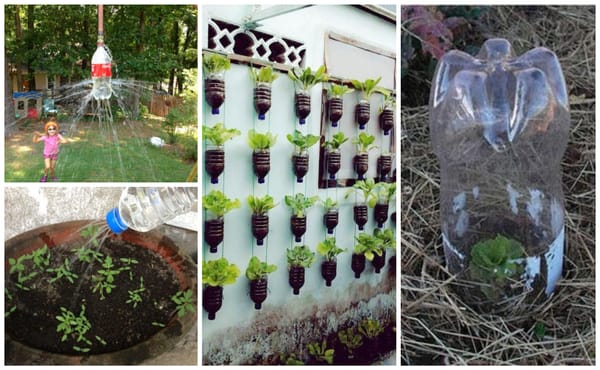 Garten – 11 Möglichkeiten, alte Plastikflaschen wiederzuverwenden